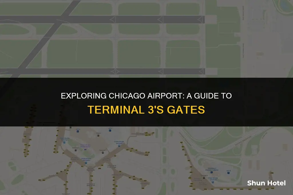 what are the gates in terminal 3 in chicago airport