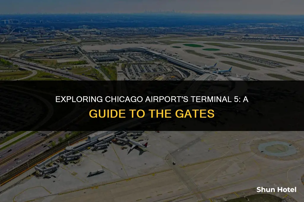 what are the gates in terminal 5 in chicago airport