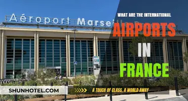 Exploring France's Major International Airports: A Comprehensive Guide