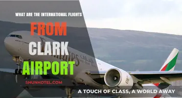 Explore Global Destinations: International Flights from Clark Airport