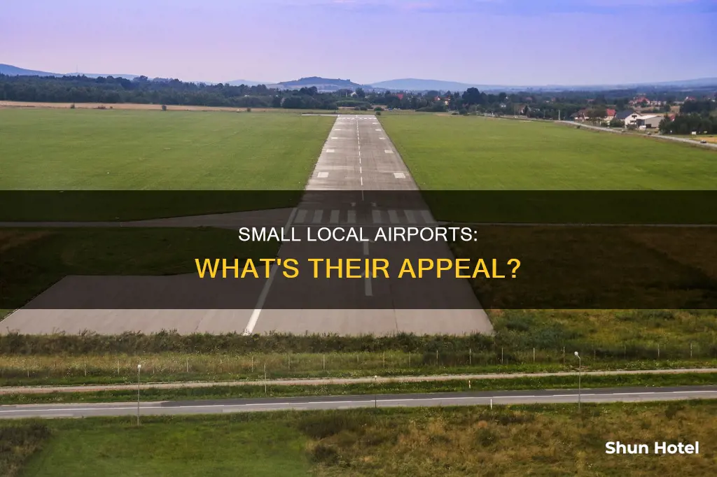 what are the local airports small