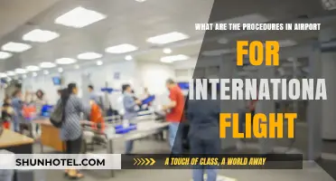 Navigating International Flights: Essential Airport Procedures Explained