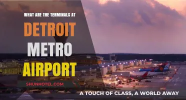 Exploring Detroit Metro Airport: A Guide to Its Terminals