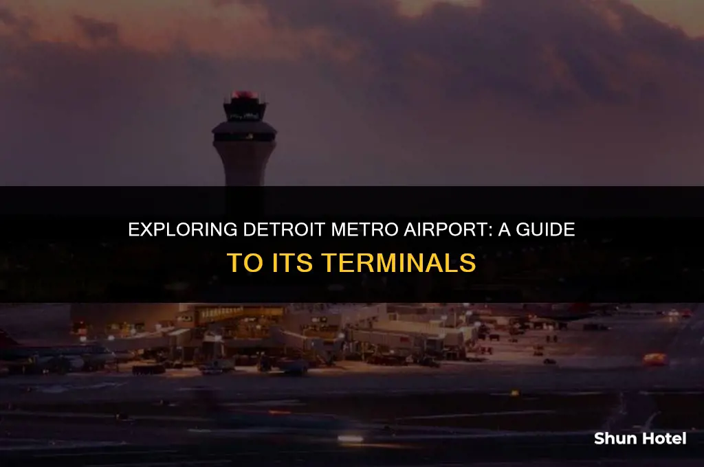 what are the terminals at detroit metro airport