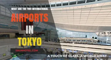 Discover Tokyo's Two Major International Airports: Narita and Haneda