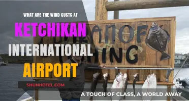 Ketchikan International Airport Wind Gusts: Understanding the Weather Patterns