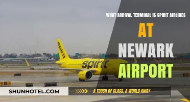 Navigating Newark Airport: Spirit Airlines' Arrival Terminal Guide