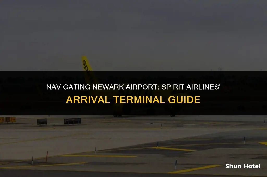 what arrival terminal is spirit airlines at newark airport