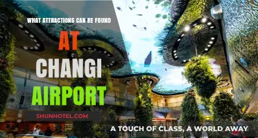 Explore Changi Airport's Amazing Attractions
