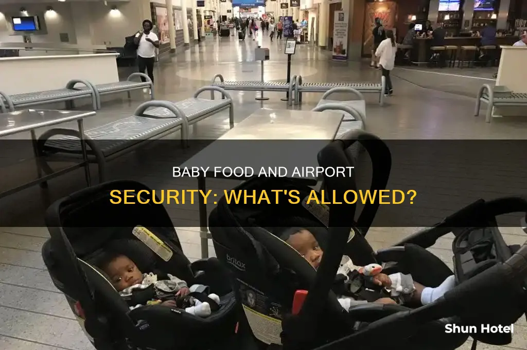 what baby food can i take through airport security