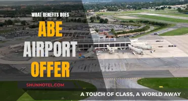 Discover Abe Airport's Unique Benefits and Features