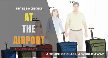 Big Box Check-Ins: What Can You Take on a Plane?