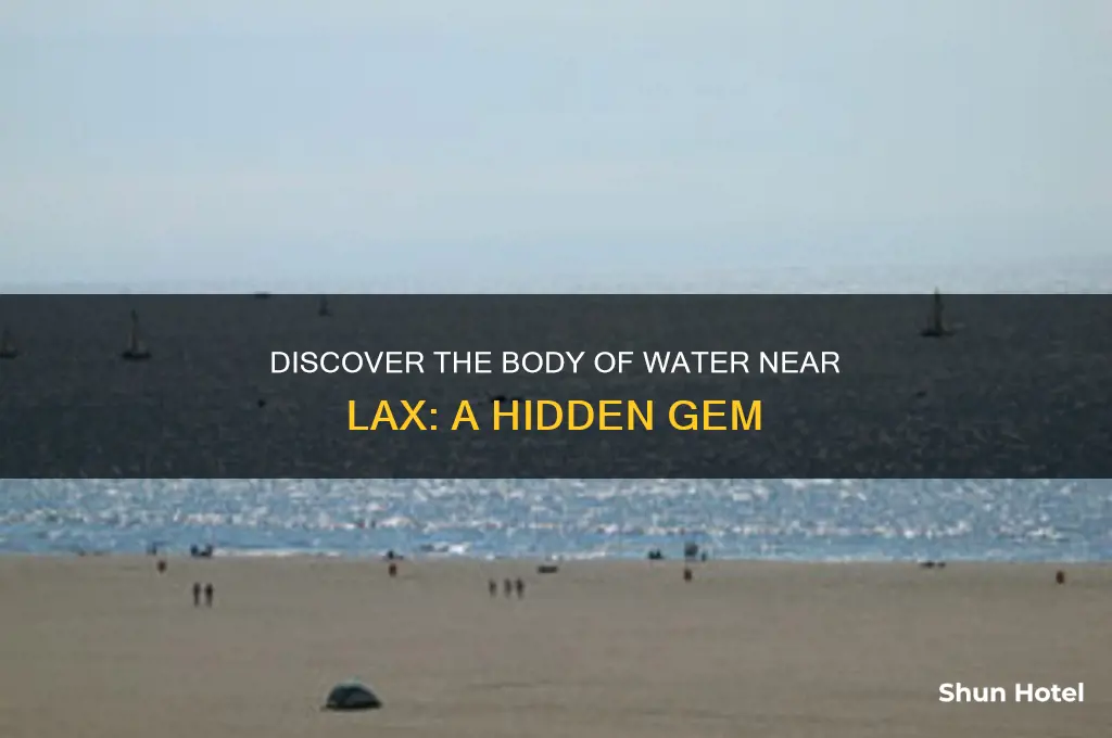 what body of water before los angeles international airport