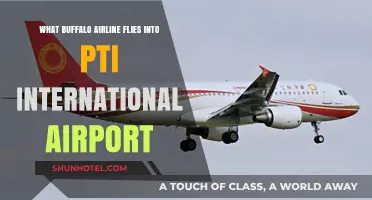 Buffalo Airline Serving PTI International Airport: Your Travel Guide