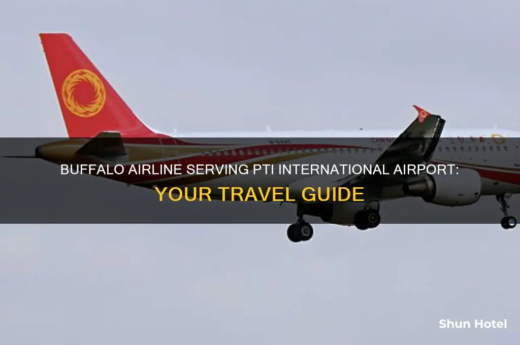 what buffalo airline flies into pti international airport