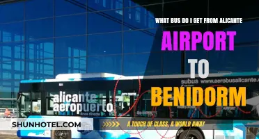 Alicante Airport to Benidorm: Your Easy Bus Travel Guide