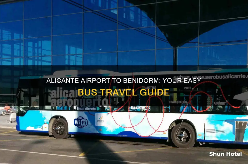 what bus do i get from alicante airport to benidorm