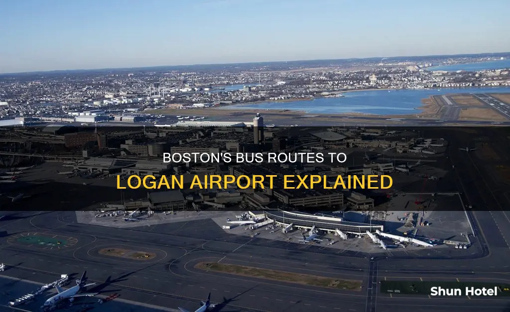 what bus goes to logan airport