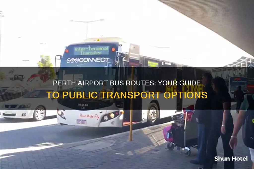 what bus goes to the perth international airport