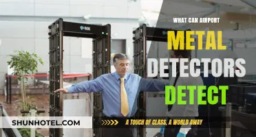 Metal Detectors: Scanning for Airport Security Threats
