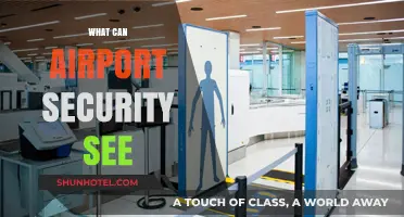 Airport Security: What's Visible and What's Not?