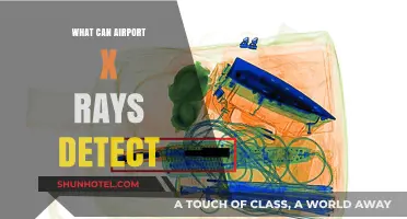 Airport X-rays: Uncovering Hidden Threats