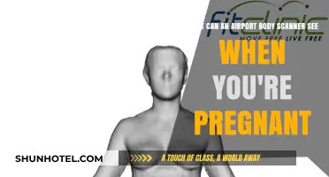 Body Scanners and Pregnancy: What Airport Scanners See