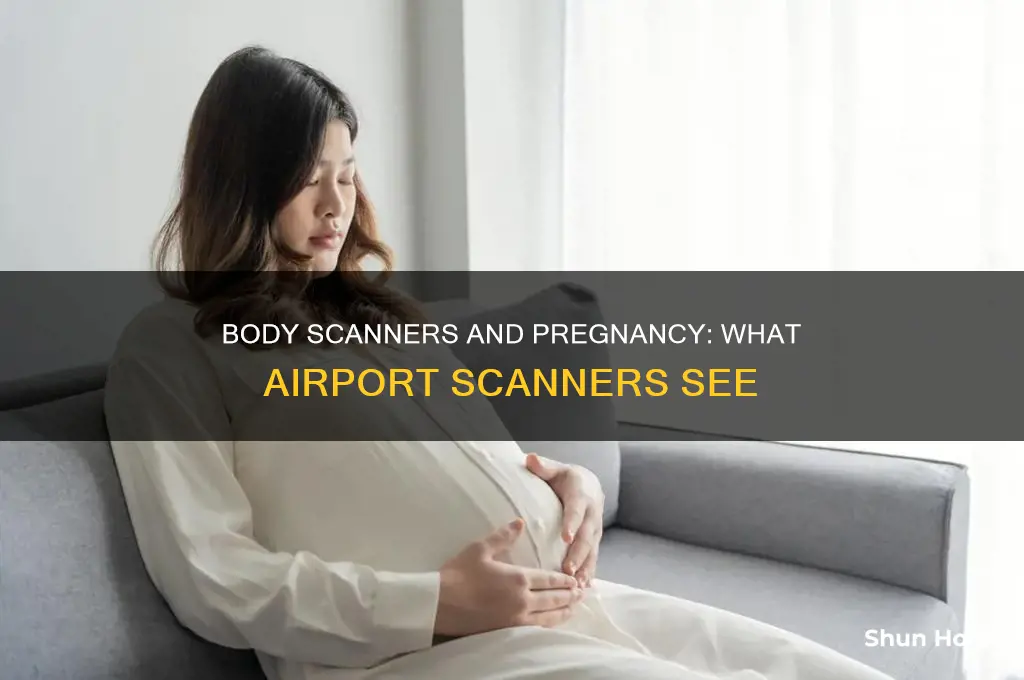 what can an airport body scanner see when you