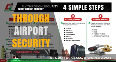 Airport Security: What's Allowed and What's Not