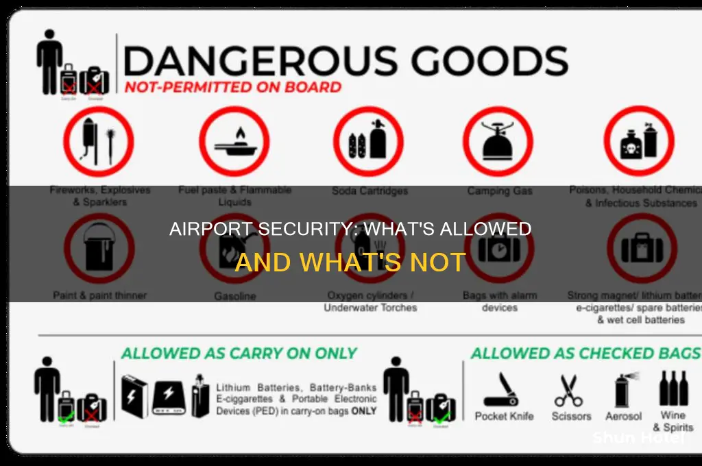 what can be brought through airport security