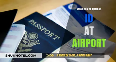 Documents to Prove Your Identity at the Airport