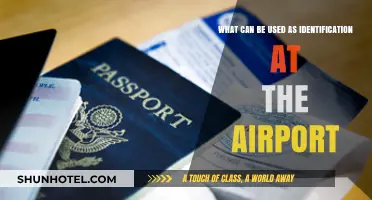 Air Travel: Approved IDs for a Smooth Check-In