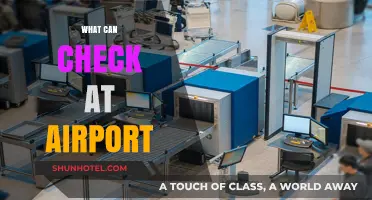 Security Checks: What to Expect at the Airport