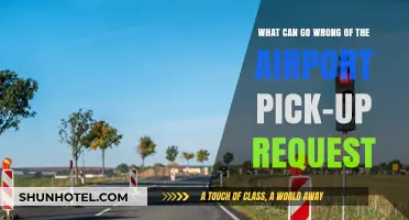 Airport Pick-up Requests: What Could Go Wrong?