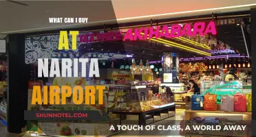 Narita Airport Shopping: What to Buy Before Your Flight?