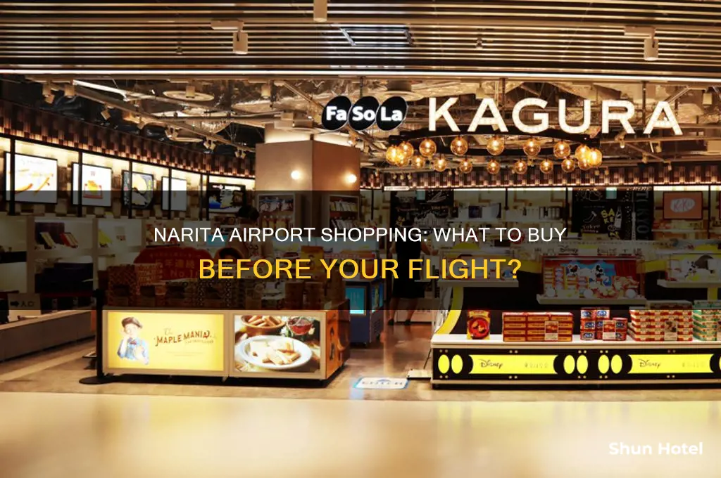 what can i buy at narita airport