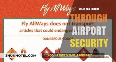 Airport Security: What Can I Bring?