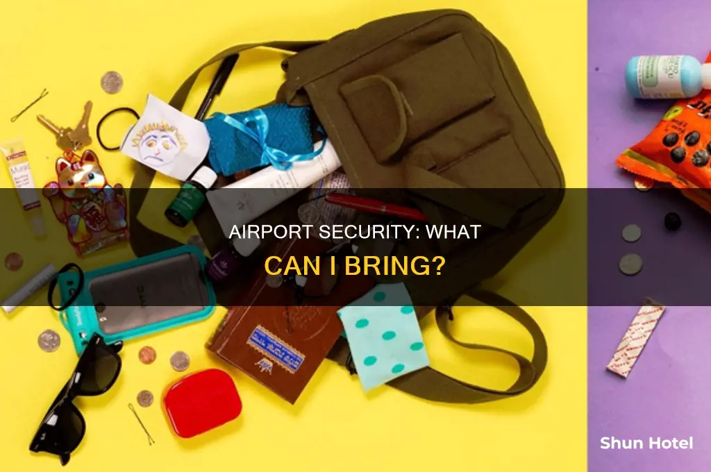 what can i carry through airport security