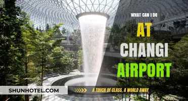 Exploring Changi Airport: Activities and Attractions