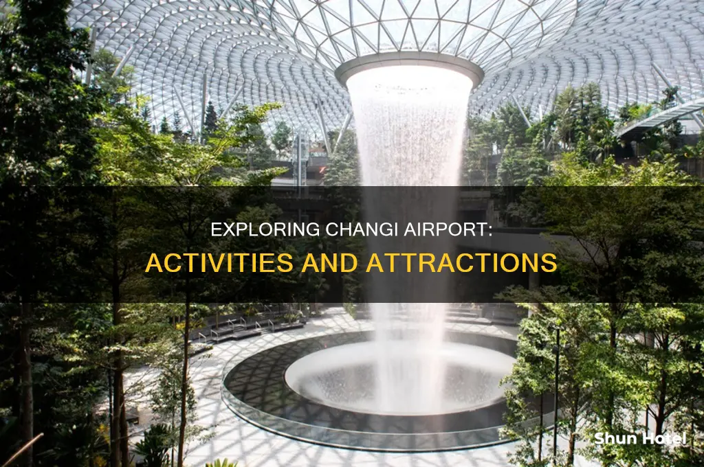 what can i do at changi airport