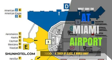 Exploring Miami Airport: Activities and Amenities