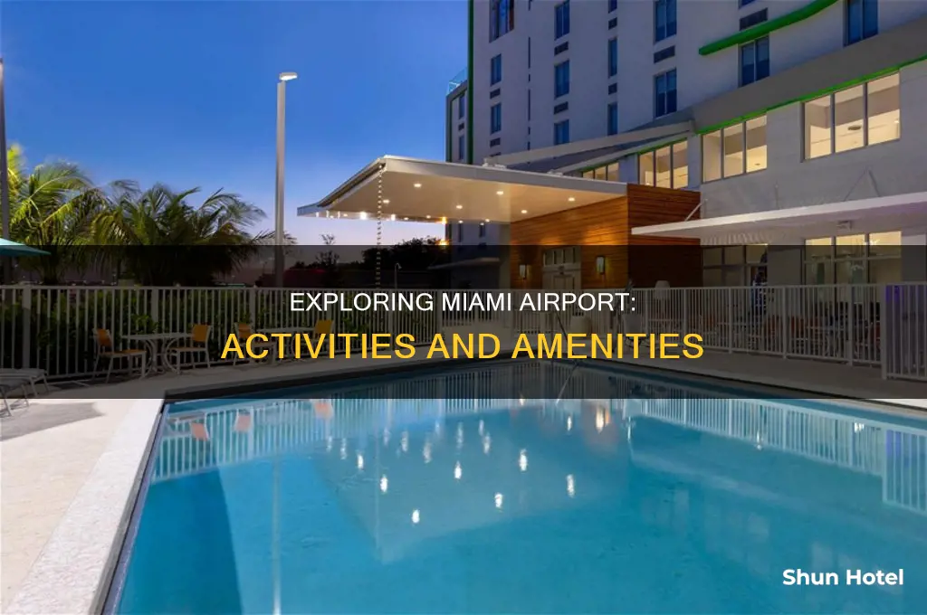 what can i do at miami airport