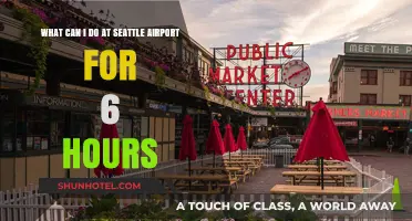 Killing Time: 6 Hours in Seattle Airport
