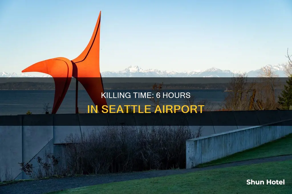 what can i do at seattle airport for 6 hours