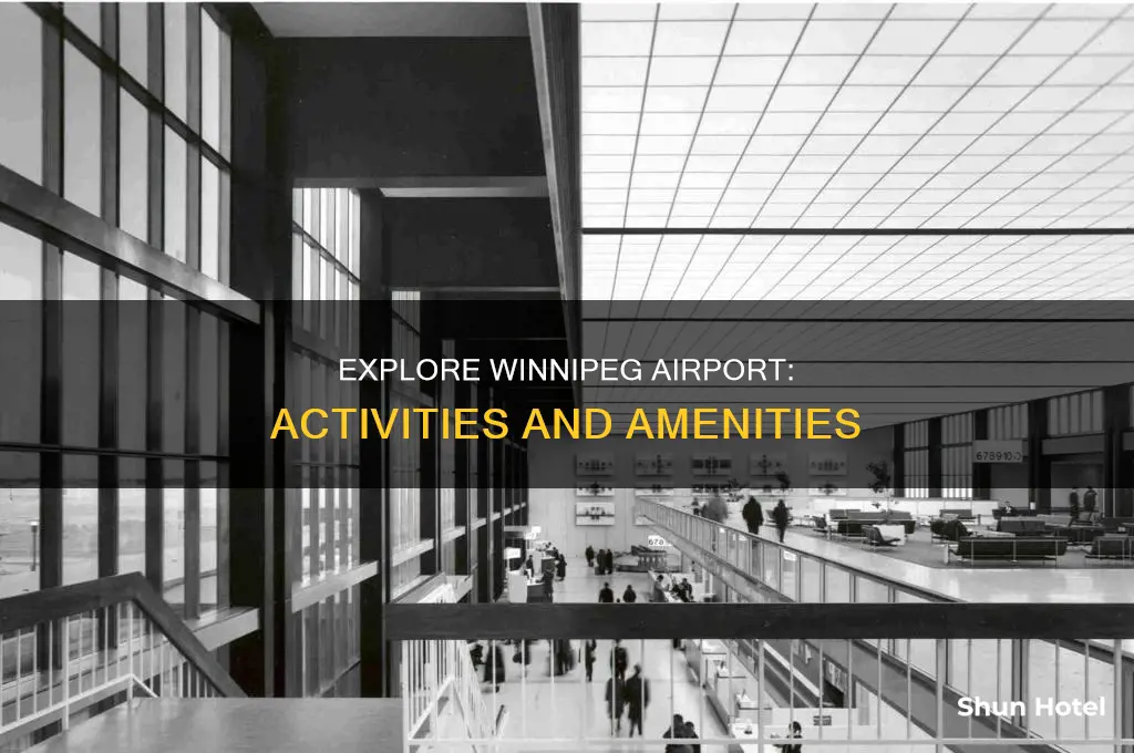 what can i do at winnipeg airport