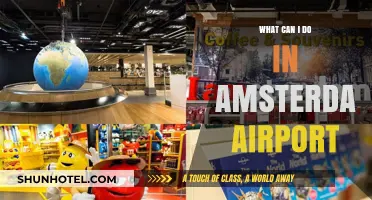 Exploring Amsterdam Airport: Things to Do and See