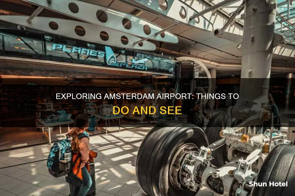 what can i do in amsterdam airport