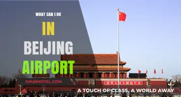 Exploring Beijing Airport: Activities and Attractions