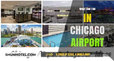 Chicago Airport: Things to Do While You're There