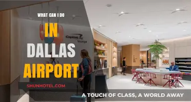 Explore Dallas Airport: Activities and Amenities